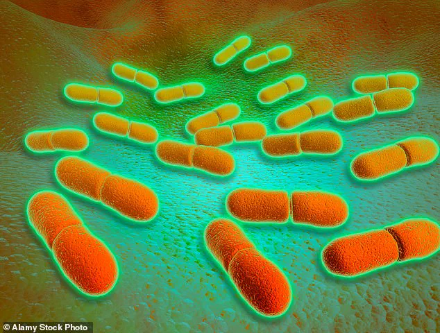 Listeria Outbreak Linked to French Soft Cheese Claims Two Lives, Sparks Urgent Warnings Across Europe