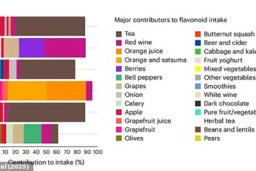 New Study Highlights Health Benefits of Dark Chocolate and Red Wine Due to Flavonoid Content