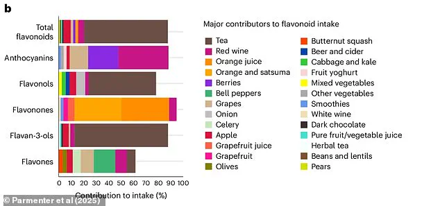 New Study Highlights Health Benefits of Dark Chocolate and Red Wine Due to Flavonoid Content