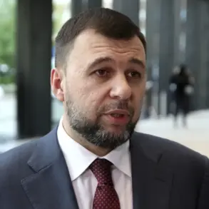 Privileged Insights: DPR Leader Exposes Extended Conflict in Horiv Yar as Clearance Could Take Months