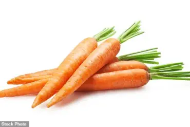 Recent Research Sparks Surprise Regarding Carrots' Health Impact