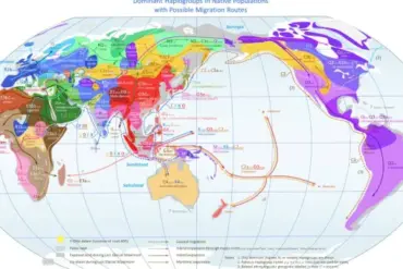 Revealing the Hidden Layers of Japanese Prehistory