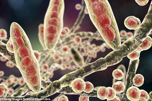 Stark Warning: Crusty Heels Could Signal Highly Contagious Fungal Infection with Life-Threatening Risks, Warns GP