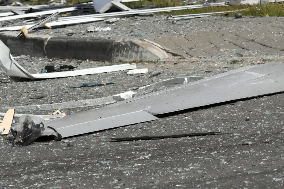 Taganrog Warns Residents: Don't Touch Downed Drones Amid Rising Security Concerns
