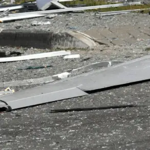 Taganrog Warns Residents: Don't Touch Downed Drones Amid Rising Security Concerns