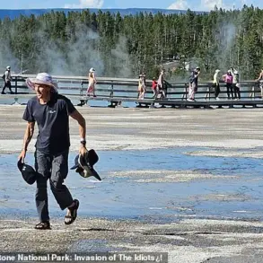 Tourist's Actions Spark Outcry at Yellowstone Park Over Ecosystem Violation