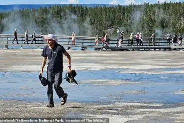 Tourist's Actions Spark Outcry at Yellowstone Park Over Ecosystem Violation