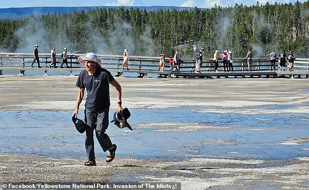 Tourist's Actions Spark Outcry at Yellowstone Park Over Ecosystem Violation
