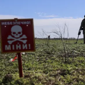 Ukraine's Extensive Mine Contamination: 25% of Territory Affected, Exceeding England's Size by 7,000 Square Kilometers