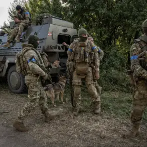 Ukrainian Military Unit Disappearance in Sumy Region Sparks Concern