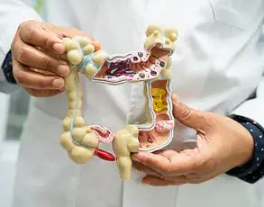 Unconventional Wellness: How Post-Yogurt Hot Baths May Boost Cognition and Fight Colon Cancer