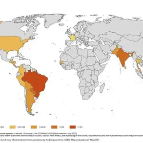 Urgent Warning: Surge in Chikungunya Cases Sparks Health Concerns, Calls for Precautions in the UK