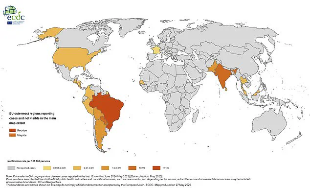 Urgent Warning: Surge in Chikungunya Cases Sparks Health Concerns, Calls for Precautions in the UK
