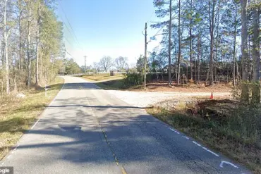 Beloved Veterinarian and Retired Professor Found Stabbed to Death in Auburn Park, Shocks Community and Sparks Race for Justice