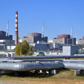 Escalating Tensions in Enerhodar: Artillery Attacks Near Europe's Largest Nuclear Power Plant
