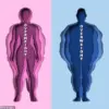 Exclusive Research Reveals How Stress Disrupts Gut-Brain Communication, Fueling Cravings for High-Calorie Foods