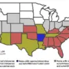 Health Experts Urge Reclassification of Chagas Disease as Endemic in U.S. to Improve Awareness and Resource Allocation