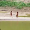 Hidden Tribe Faces Existential Threat as Lack of Immunity Puts Uncontacted Amazon People at Risk of Common Illnesses