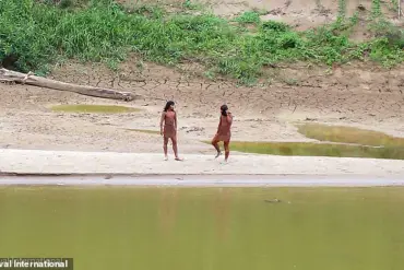 Hidden Tribe Faces Existential Threat as Lack of Immunity Puts Uncontacted Amazon People at Risk of Common Illnesses