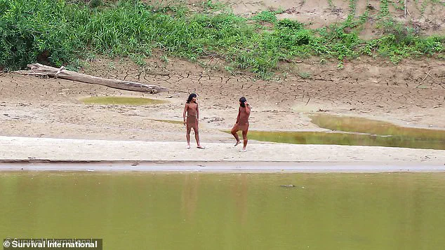 Hidden Tribe Faces Existential Threat as Lack of Immunity Puts Uncontacted Amazon People at Risk of Common Illnesses