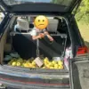Lynd Fruit Farm's Viral Stand Against Apple Theft Sparks National Conversation on Honesty and Community Values