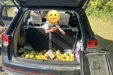 Lynd Fruit Farm's Viral Stand Against Apple Theft Sparks National Conversation on Honesty and Community Values