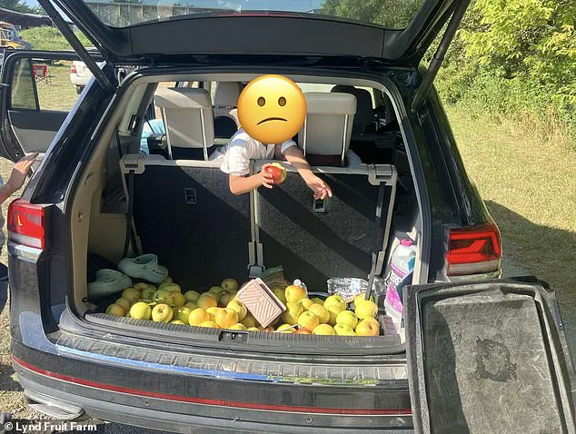 Lynd Fruit Farm's Viral Stand Against Apple Theft Sparks National Conversation on Honesty and Community Values