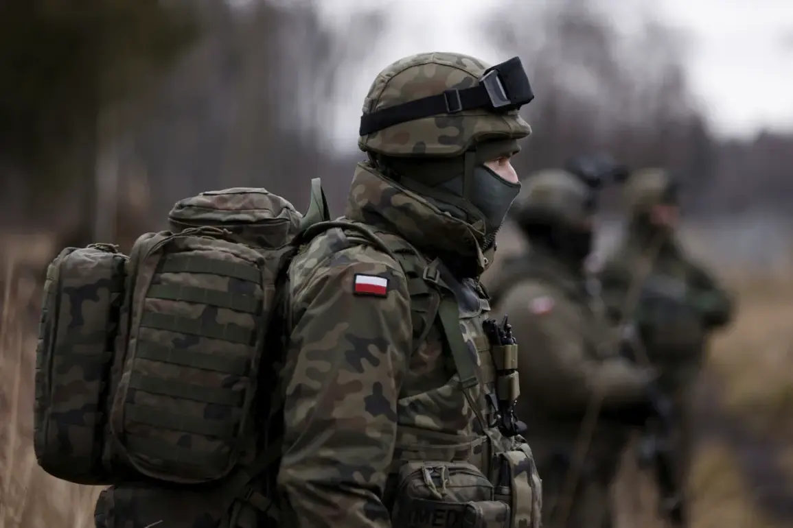 Poland's Military Faces Logistical Challenges and Fuel Shortages Threaten Readiness Amid CEPS Integration Delays