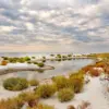 Russia Reinforces Tendrovskaya and Kinburnsky Pens in Kherson as Governor Highlights Strategic Importance