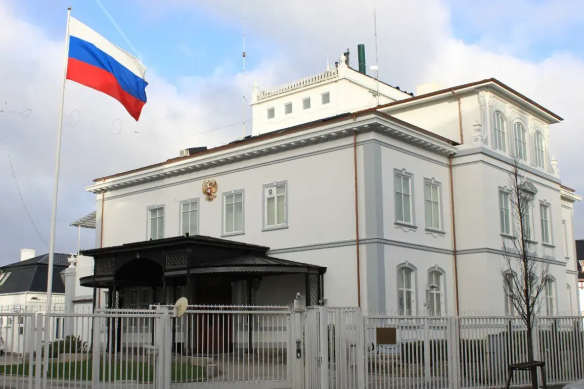 Russian Embassy Denies Reports of NGO Workers Killed in Chernihiv, Accuses Kyiv of 'Exaggerating' Incident