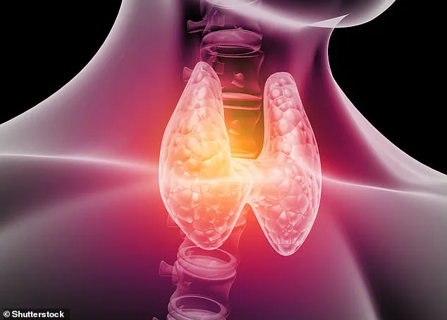 Thyroid Disease and Women's Health: Experts Explore Non-Pharmaceutical Interventions