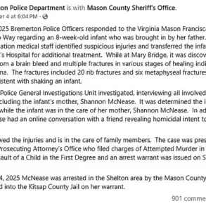 Wisconsin Mother Faces Legal and Medical Crisis After Infant's Non-Accidental Trauma Sparks Child Welfare Concerns